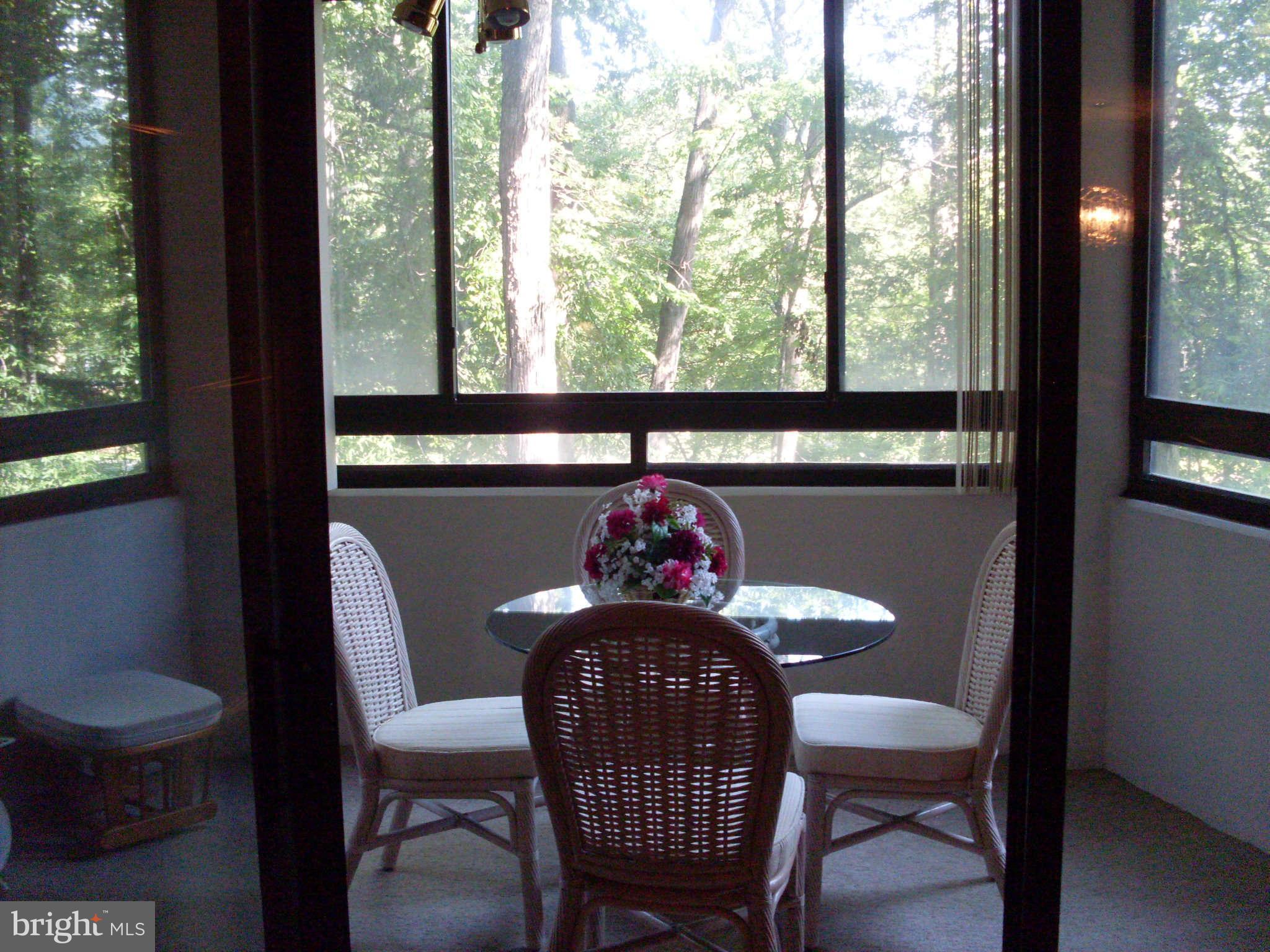 15100 Interlachen Drive, Unit 122 Silver Spring, MD 20906 - Photo 4 of 18 Enclosed Balcony