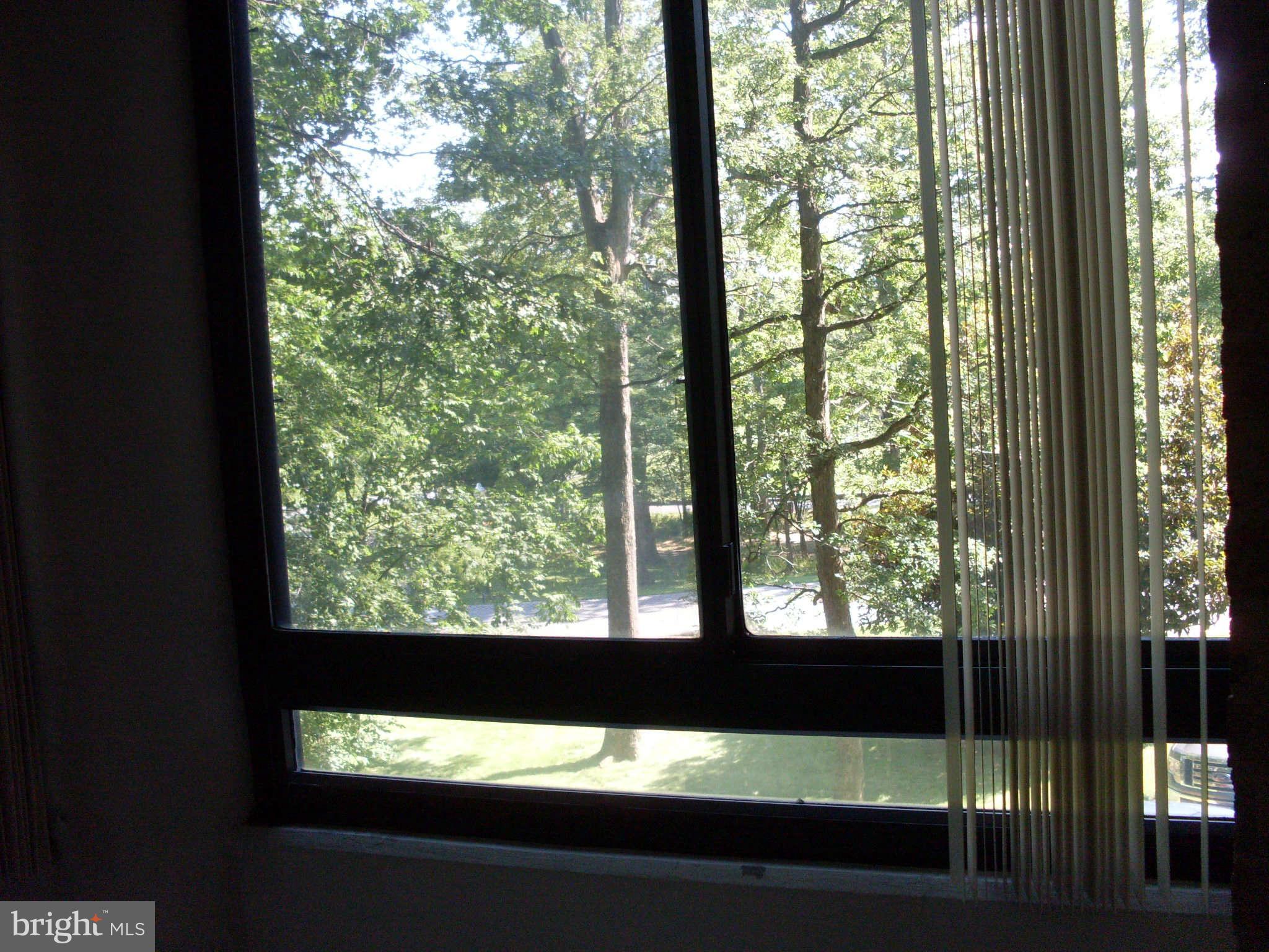 15100 Interlachen Drive, Unit 122 Silver Spring, MD 20906 - Photo 5 of 18 View