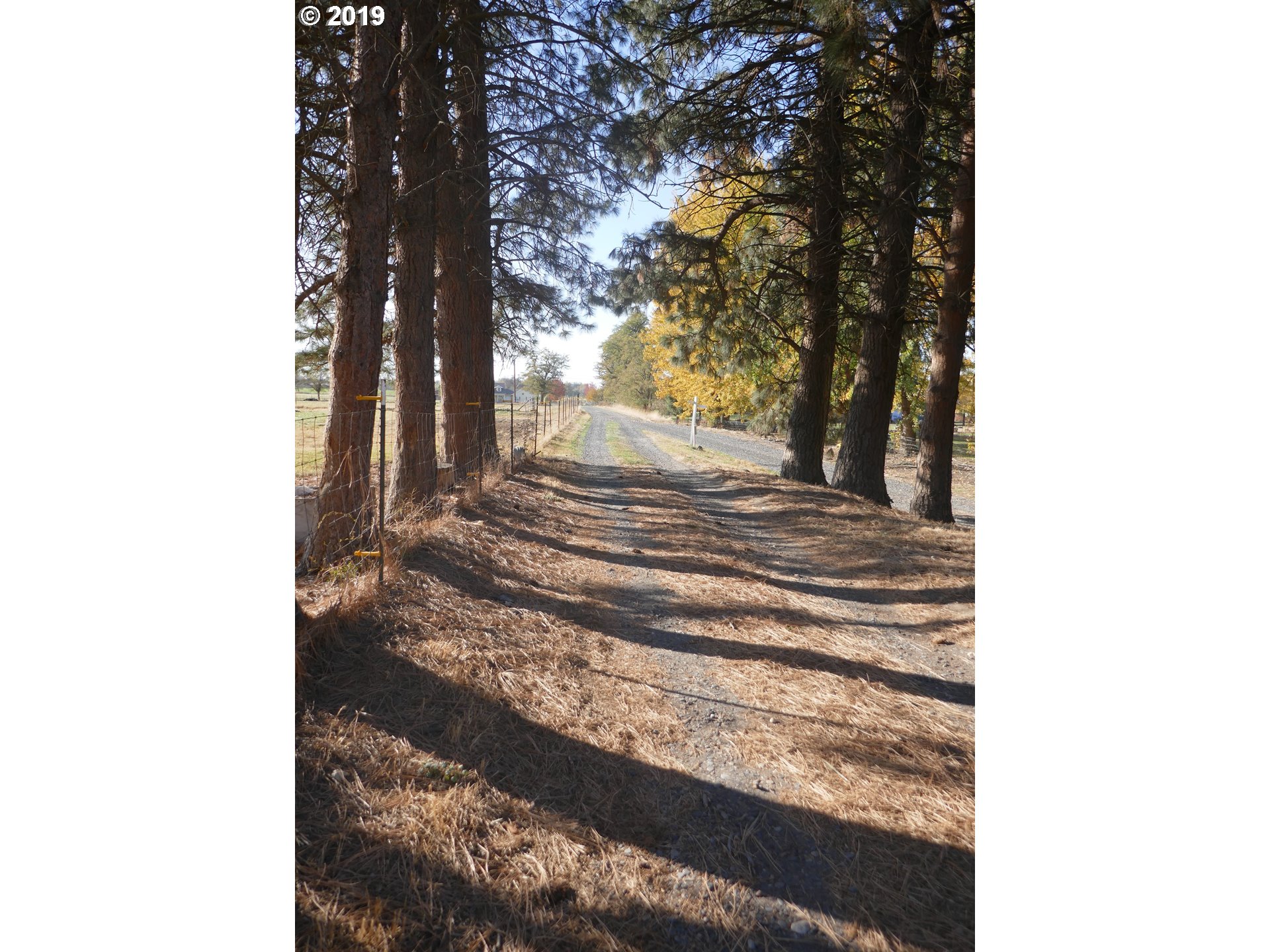 29814 Minnehaha Road Hermiston, OR 97838 - Photo 25 of 32 Driveway