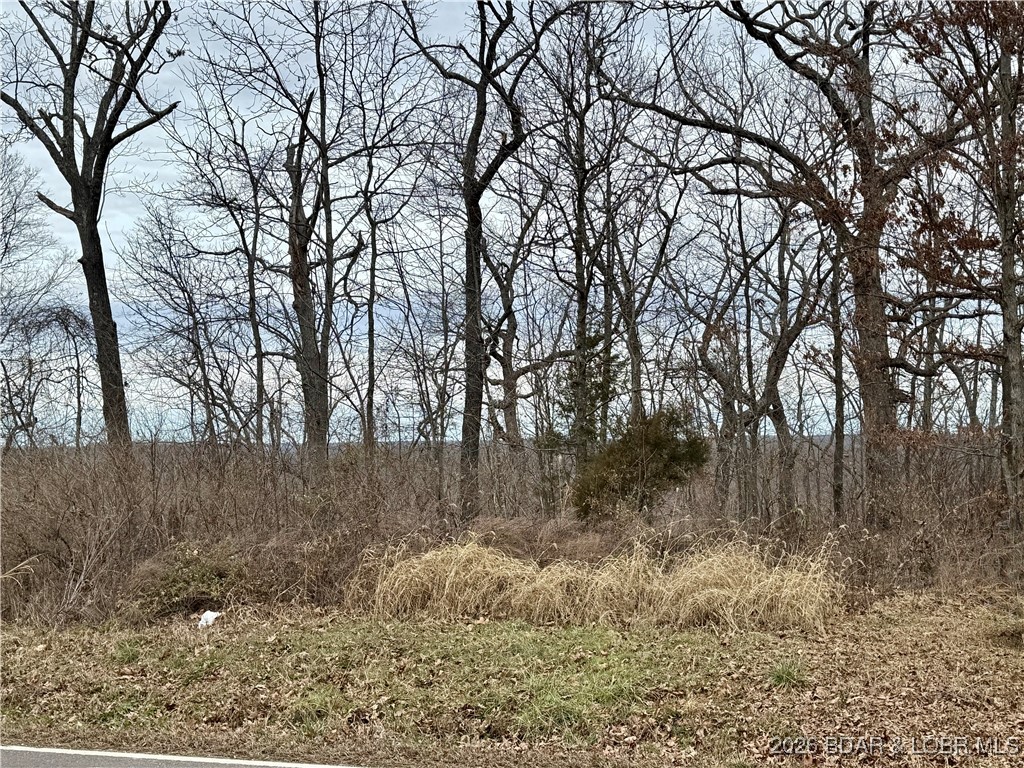 Lot 10 Ivy Bend Road Stover, MO 65078 - Photo 11 of 20