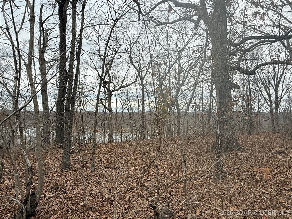 Lot 10 Ivy Bend Road Stover, MO 65078 - Photo 12 of 20