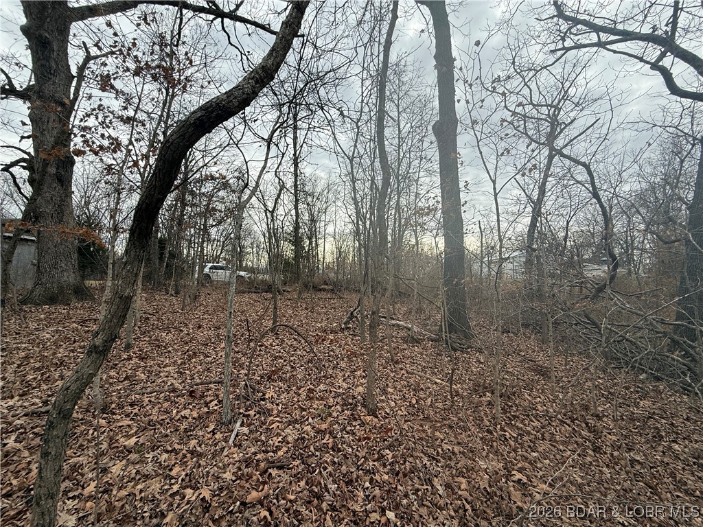 Lot 10 Ivy Bend Road Stover, MO 65078 - Photo 13 of 20