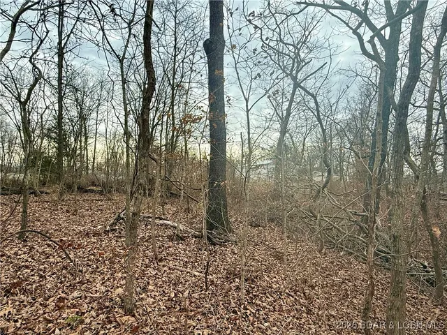 $10,500 | Lot 10 Ivy Bend Road, Stover, MO 65078
