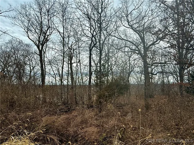 $10,500 | Lot 10 Ivy Bend Road, Stover, MO 65078