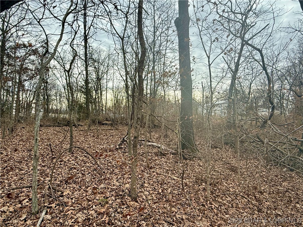 Lot 10 Ivy Bend Road Stover, MO 65078 - Photo 17 of 20