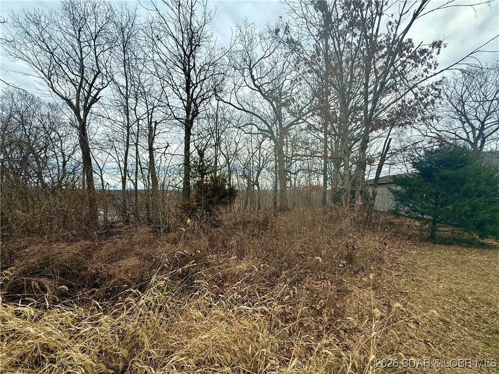 Lot 10 Ivy Bend Road Stover, MO 65078 - Photo 18 of 20