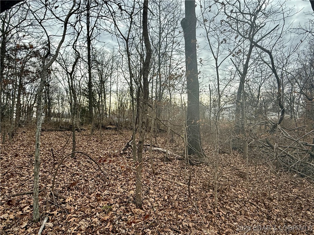 Lot 10 Ivy Bend Road Stover, MO 65078 - Photo 19 of 20