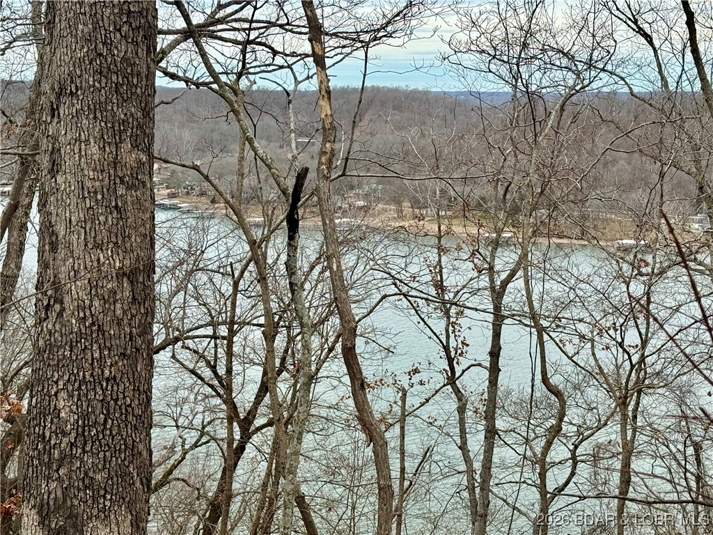 Lot 10 Ivy Bend Road Stover, MO 65078 - Photo 3 of 20