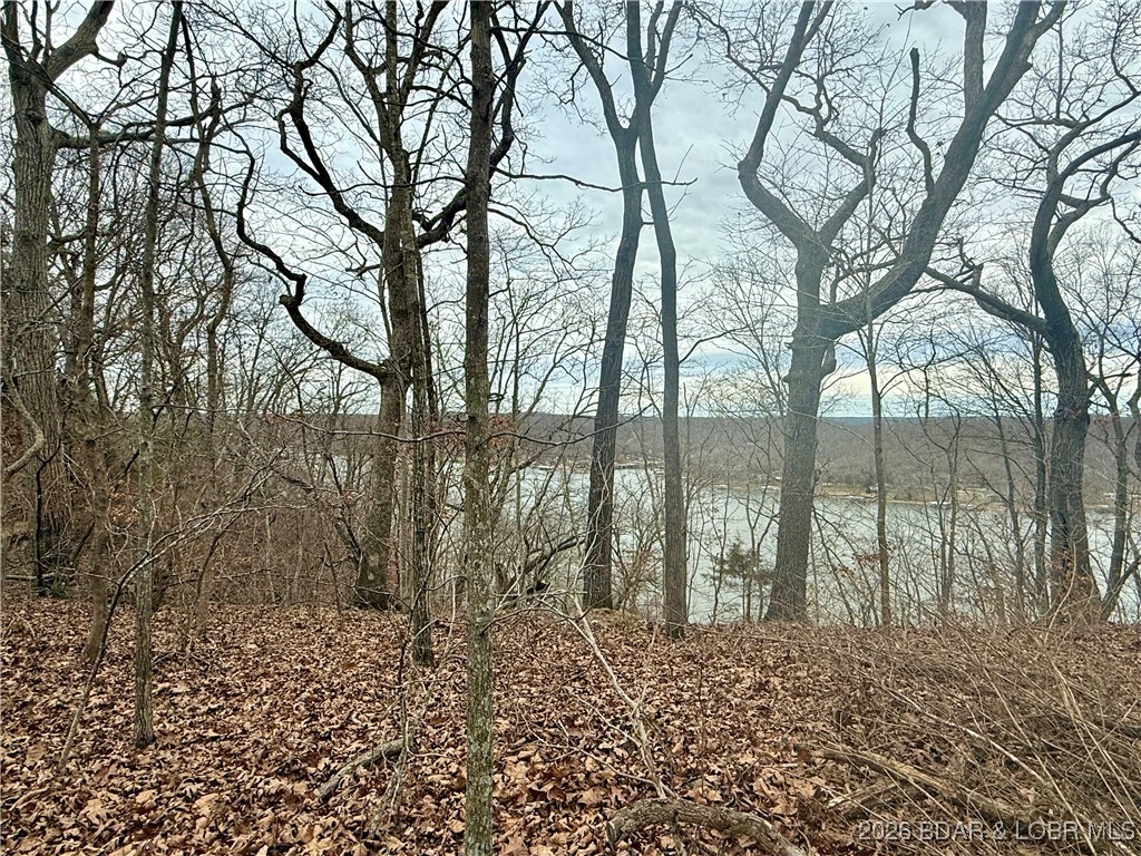 Lot 10 Ivy Bend Road Stover, MO 65078 - Photo 4 of 20