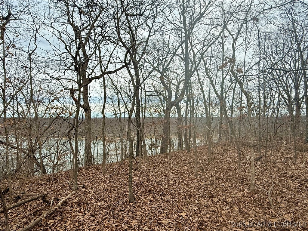 Lot 10 Ivy Bend Road Stover, MO 65078 - Photo 5 of 20