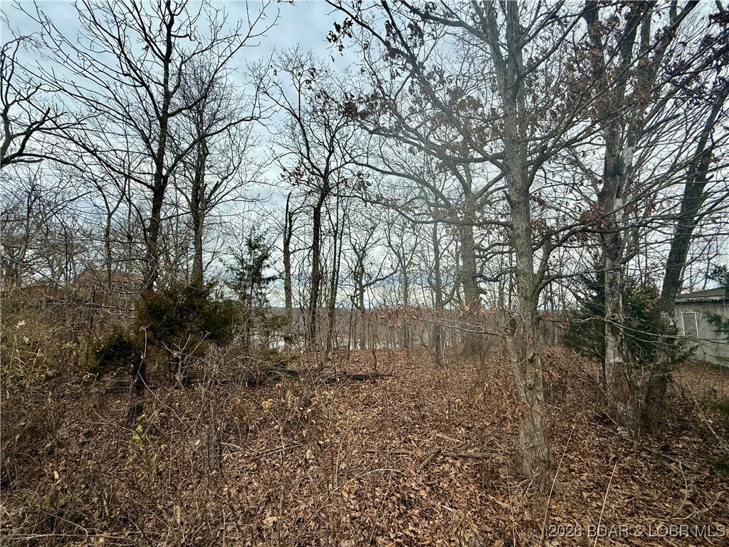 Lot 10 Ivy Bend Road Stover, MO 65078 - Photo 7 of 20