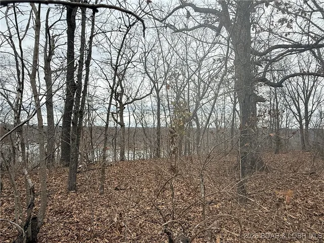 $10,500 | Lot 10 Ivy Bend Road, Stover, MO 65078
