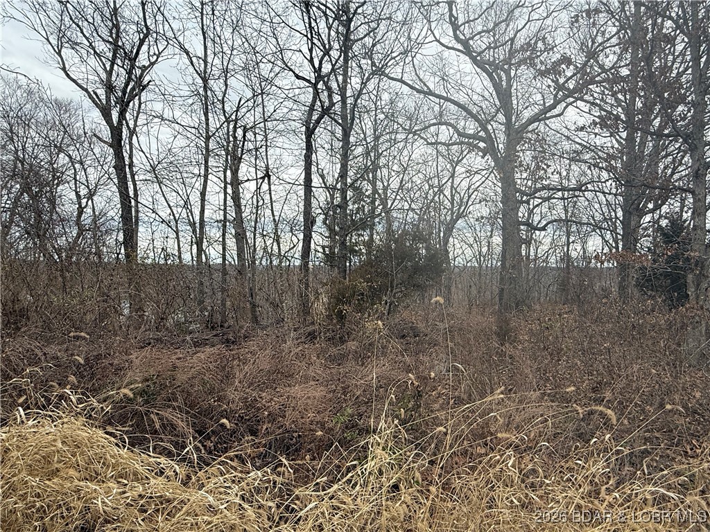 Lot 10 Ivy Bend Road Stover, MO 65078 - Photo 9 of 20