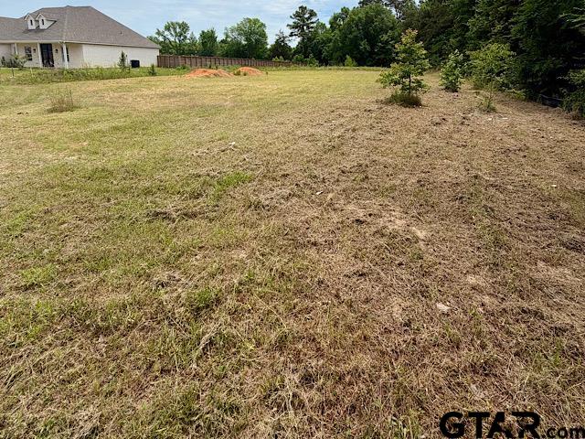 14973 Turtle Crk Rnch Road Flint, TX 75762 - Photo 5 of 6