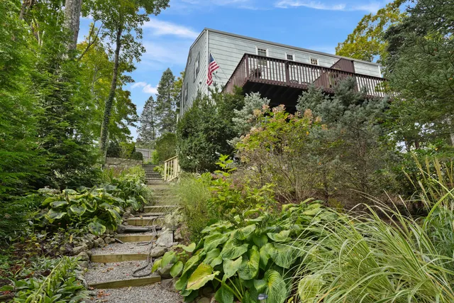 a view of a forest with trees