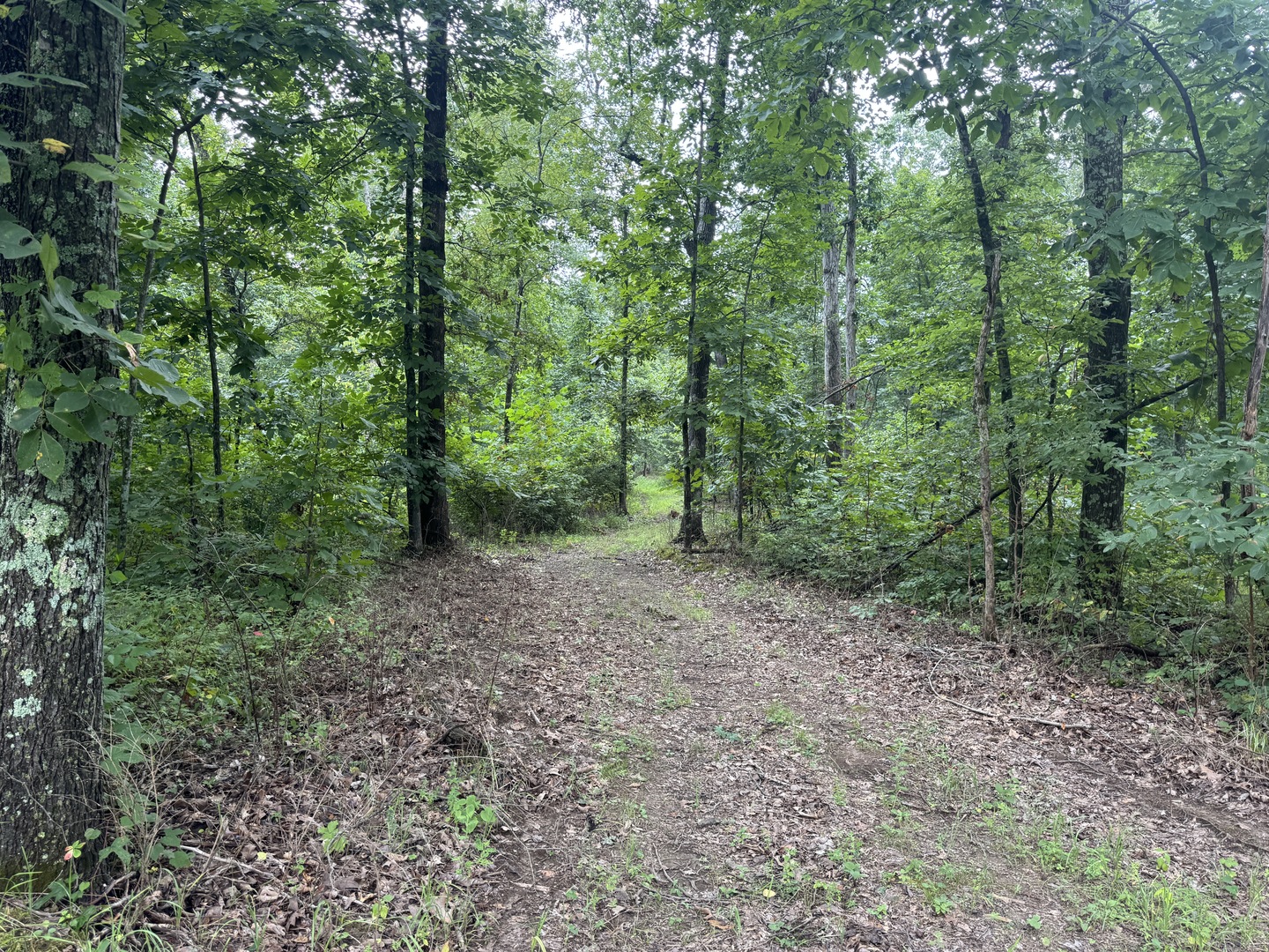 0 Iuka Road Iuka, IL 62849 - Photo 25 of 48 Gallery Image 25