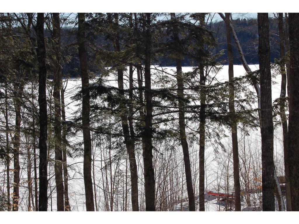 17 Shore Road Enfield, NH 03753 - Photo 17 of 18