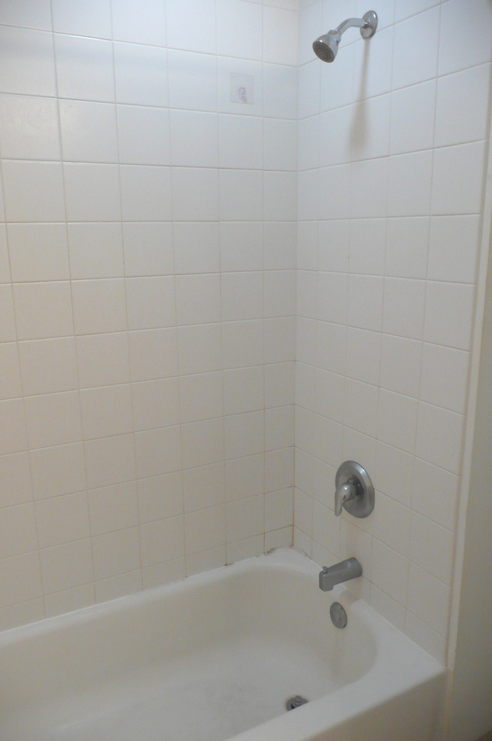 1255 South State Street, Unit 607 Chicago, IL 60605 - Photo 11 of 20 a bathroom with a bathtub