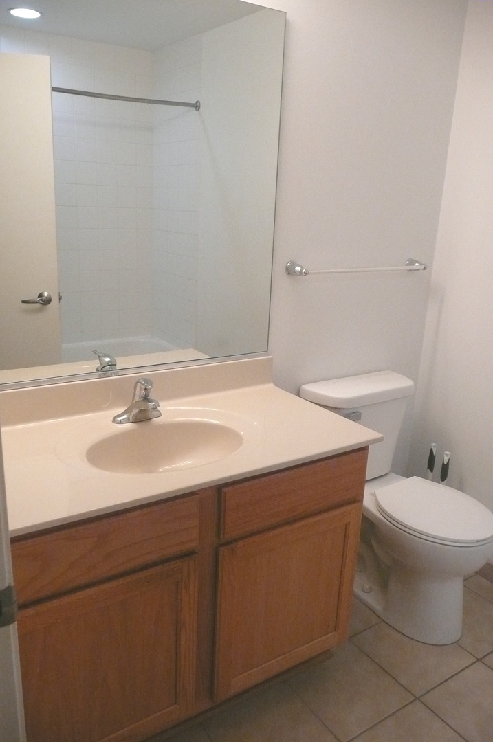 1255 South State Street, Unit 607 Chicago, IL 60605 - Photo 12 of 22 a bathroom with a sink toilet and a mirror