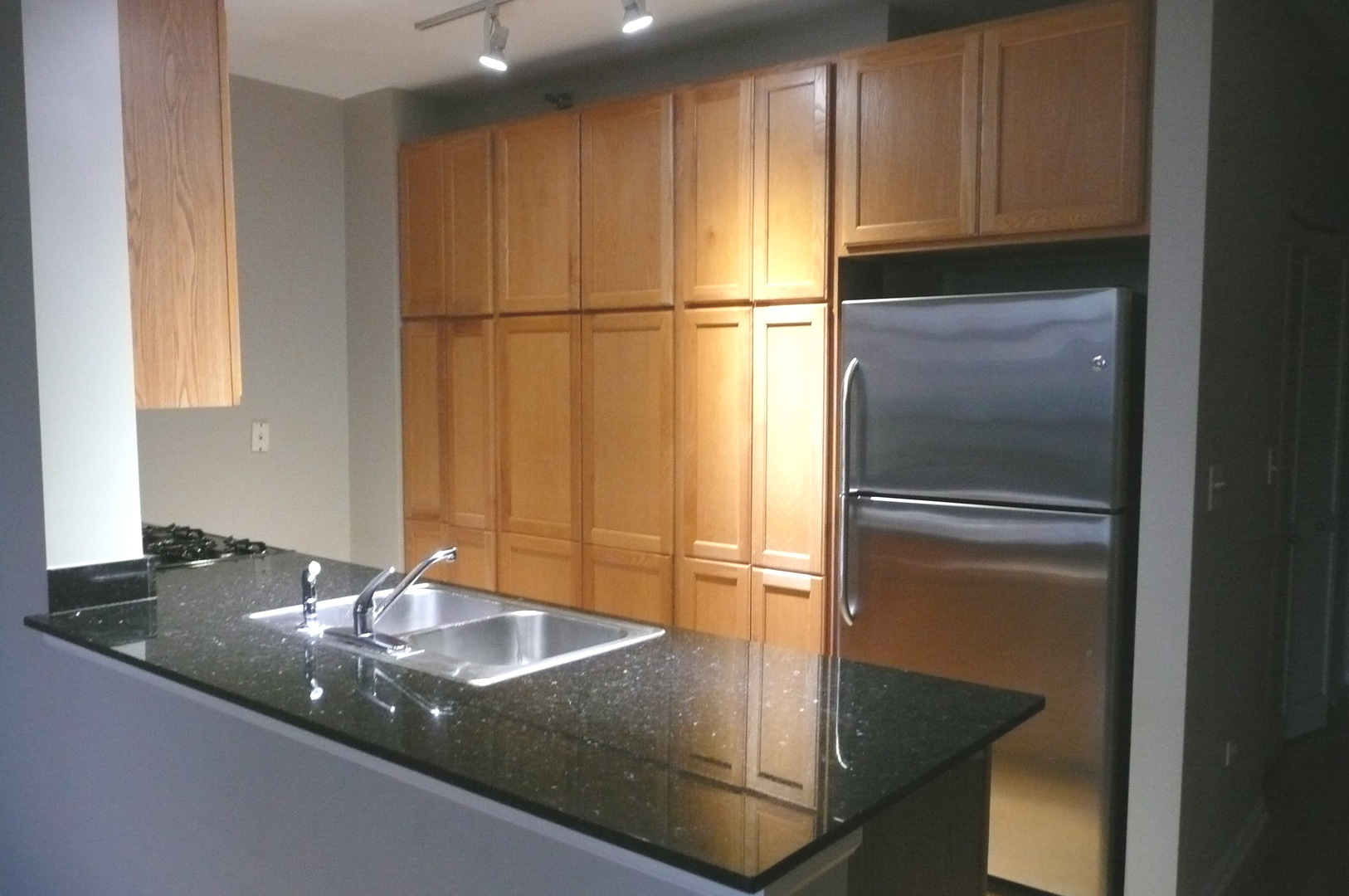 1255 South State Street, Unit 607 Chicago, IL 60605 - Photo 5 of 22 a kitchen with a refrigerator and countertop