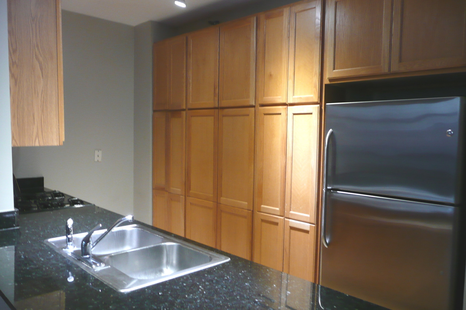 1255 South State Street, Unit 607 Chicago, IL 60605 - Photo 6 of 22 a view of kitchen with stainless steel appliances wooden floor