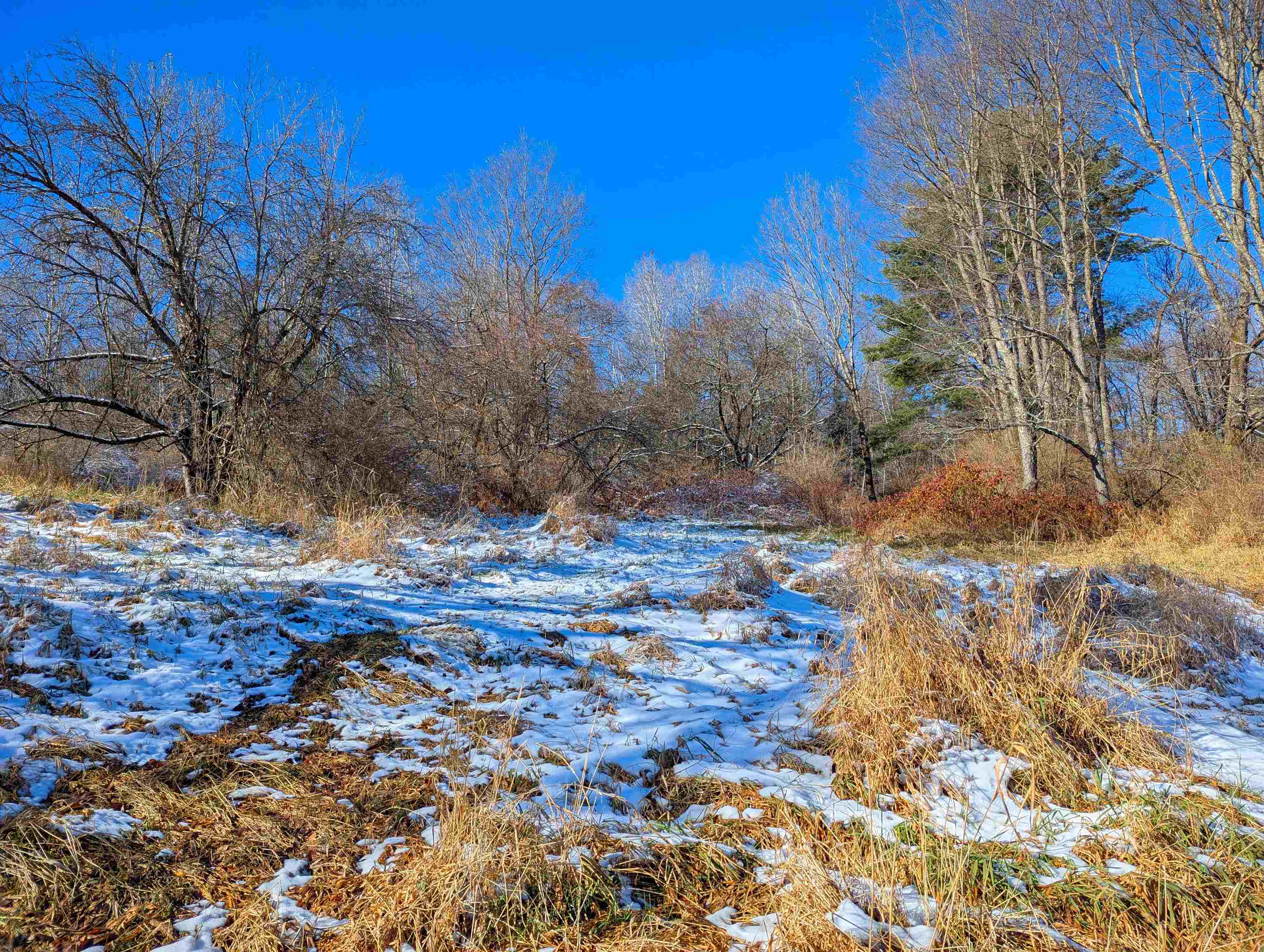 0 Pudding Hill Road Lyndonville, VT 05851 - Photo 11 of 18
