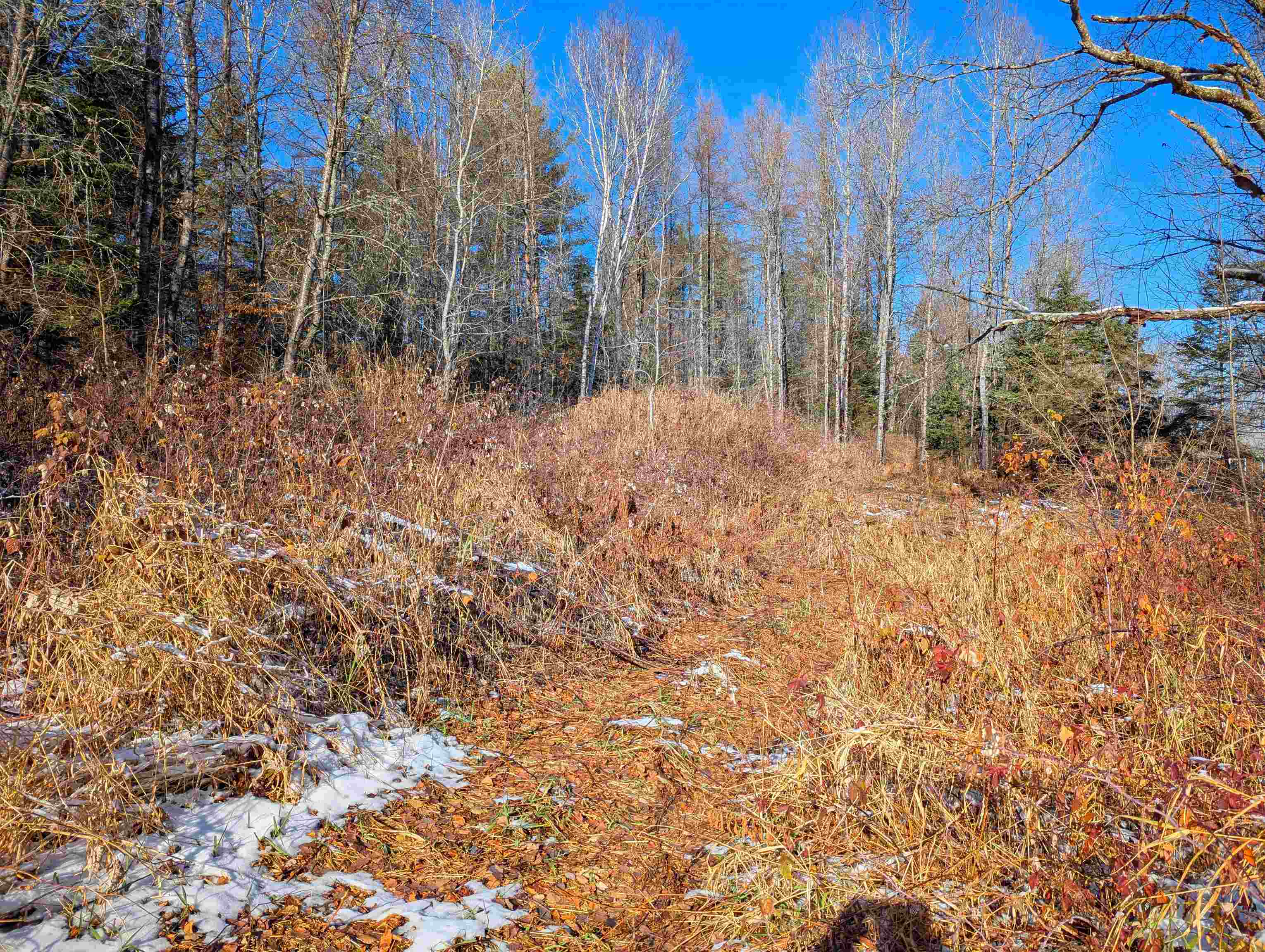 0 Pudding Hill Road Lyndonville, VT 05851 - Photo 13 of 18