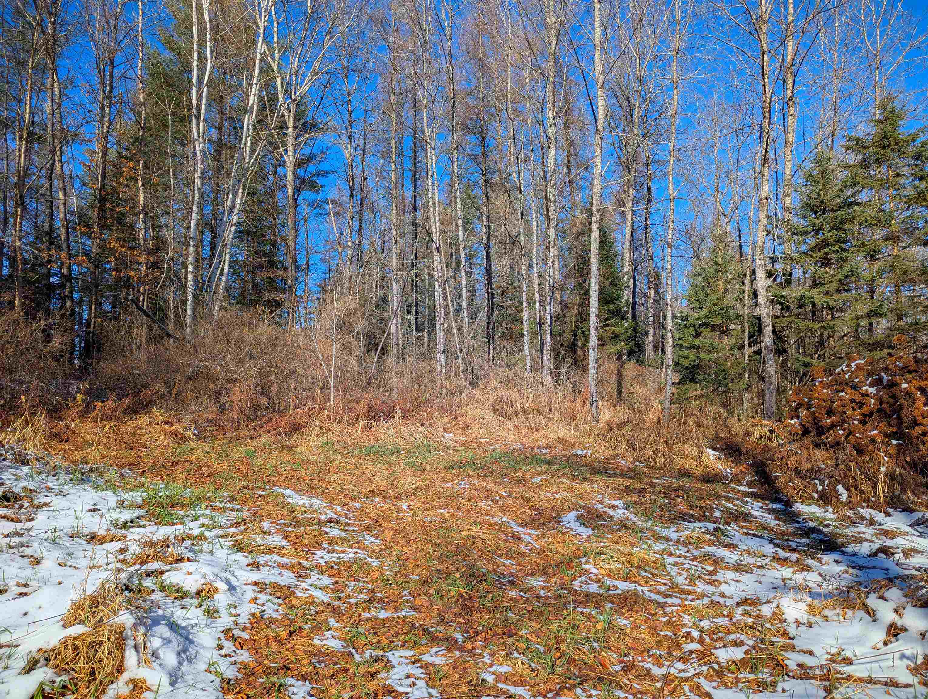 0 Pudding Hill Road Lyndonville, VT 05851 - Photo 14 of 18