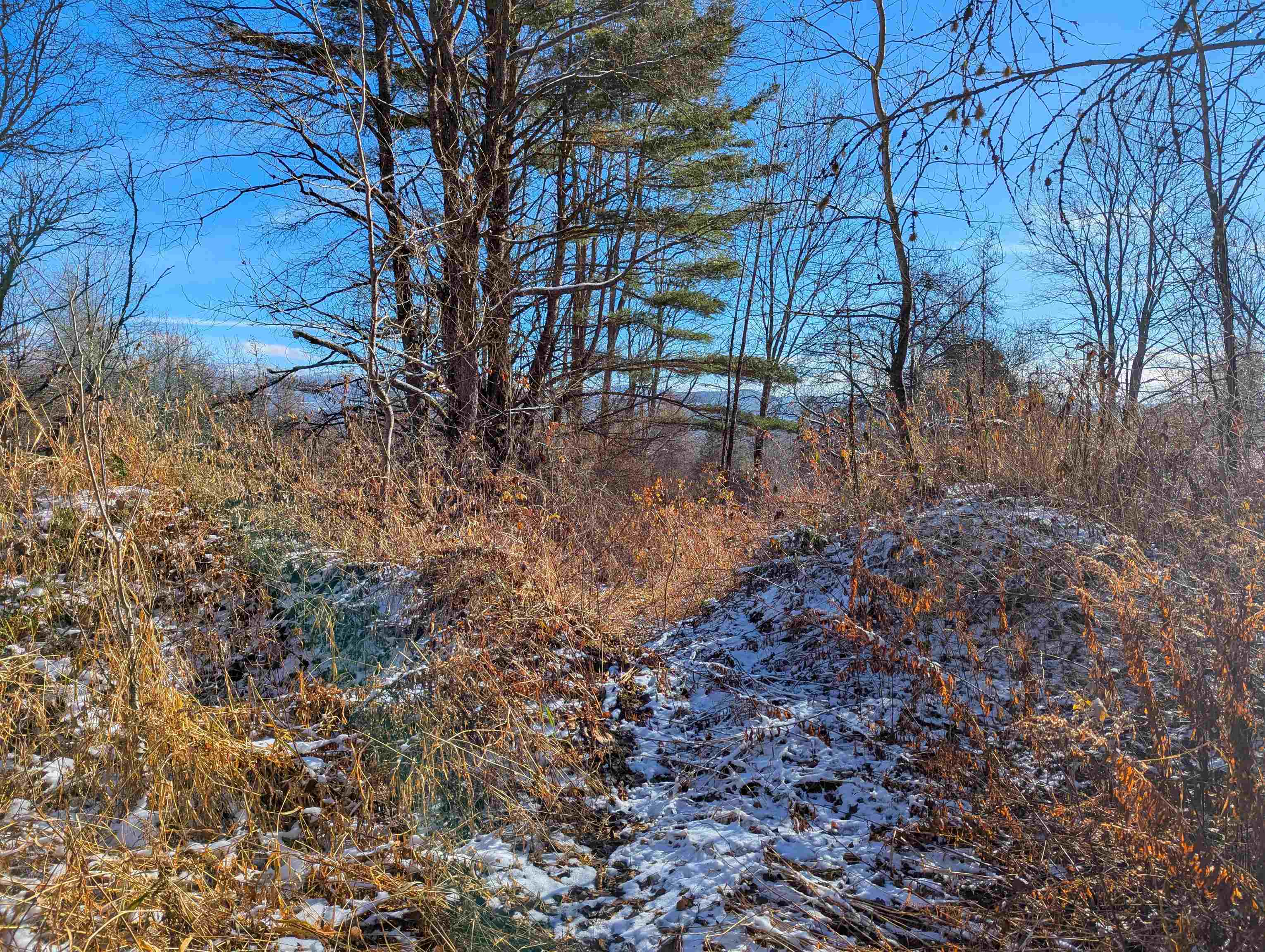 0 Pudding Hill Road Lyndonville, VT 05851 - Photo 15 of 18