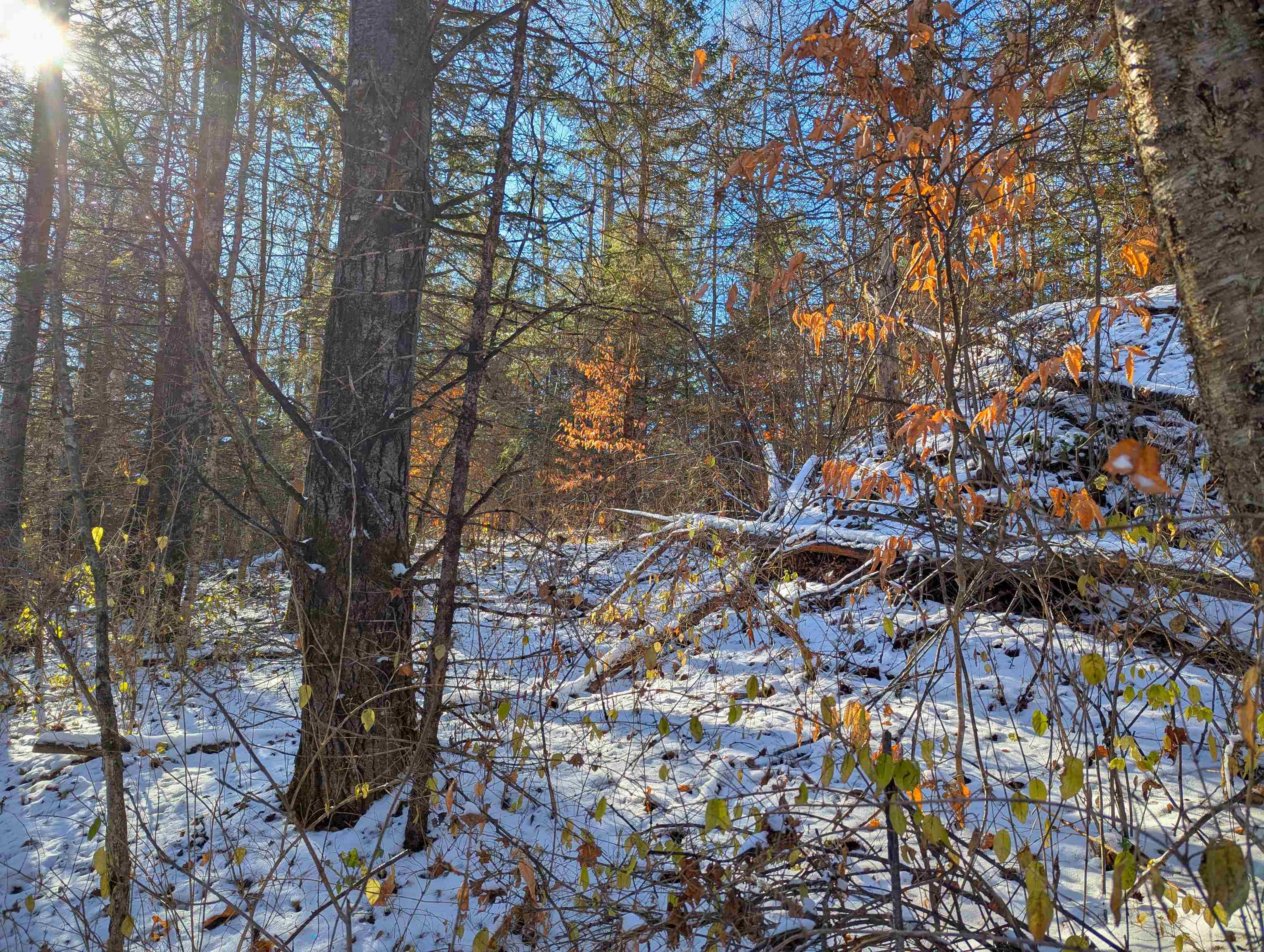 0 Pudding Hill Road Lyndonville, VT 05851 - Photo 16 of 18