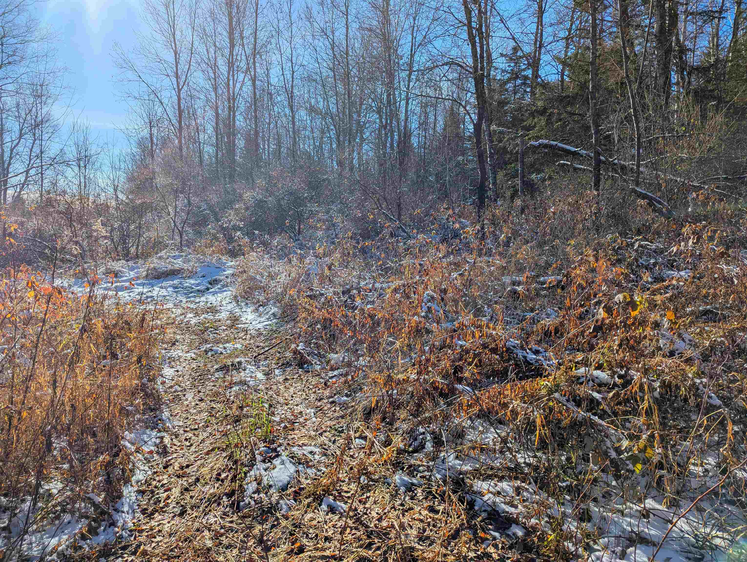 0 Pudding Hill Road Lyndonville, VT 05851 - Photo 17 of 18