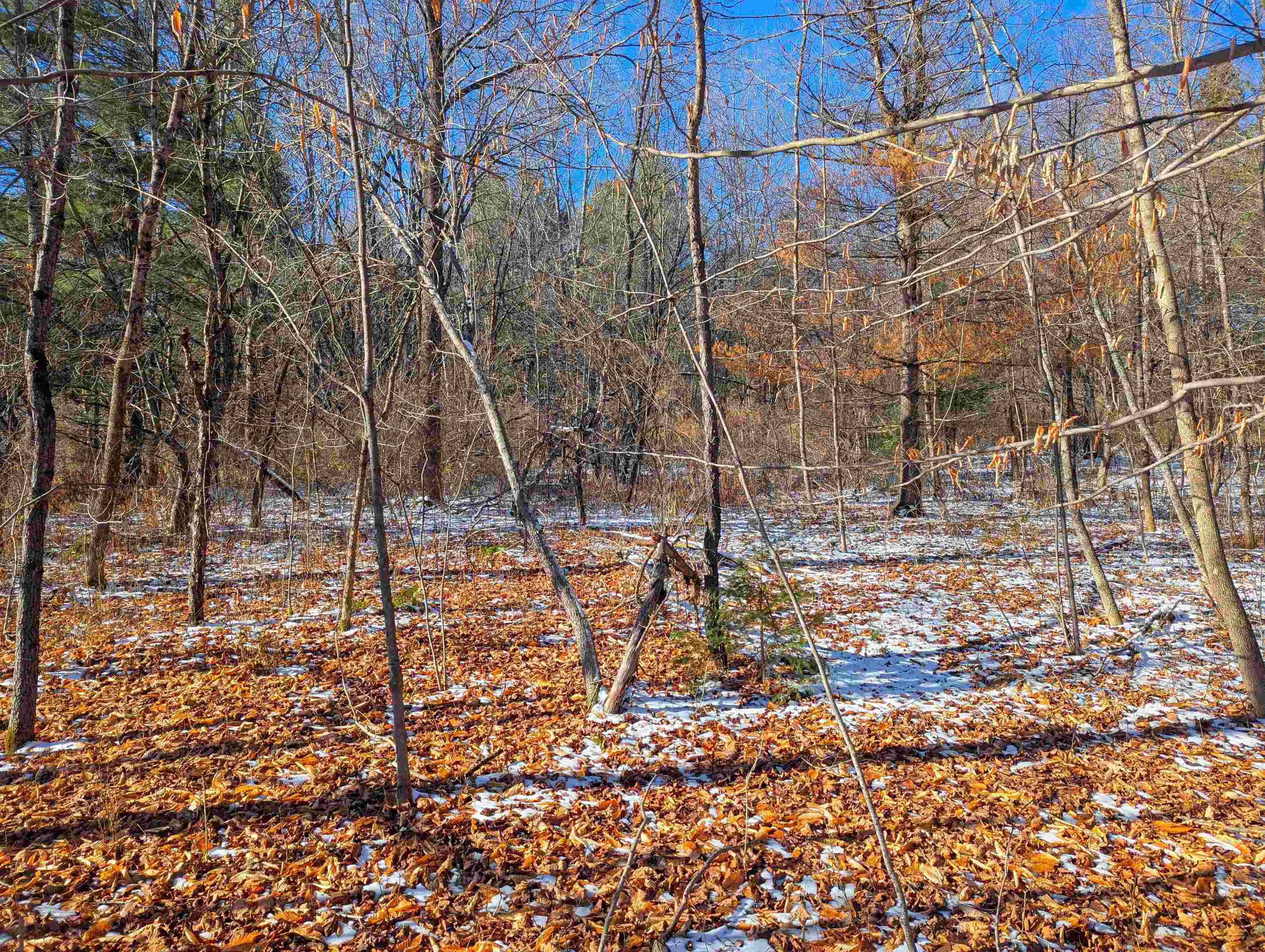 0 Pudding Hill Road Lyndonville, VT 05851 - Photo 8 of 18