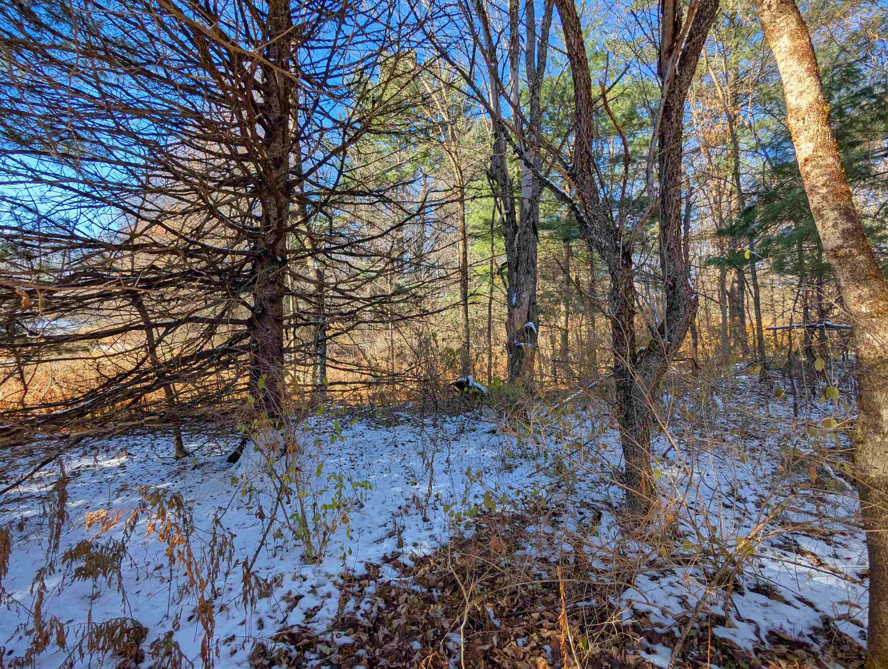 0 Pudding Hill Road Lyndonville, VT 05851 - Photo 9 of 18