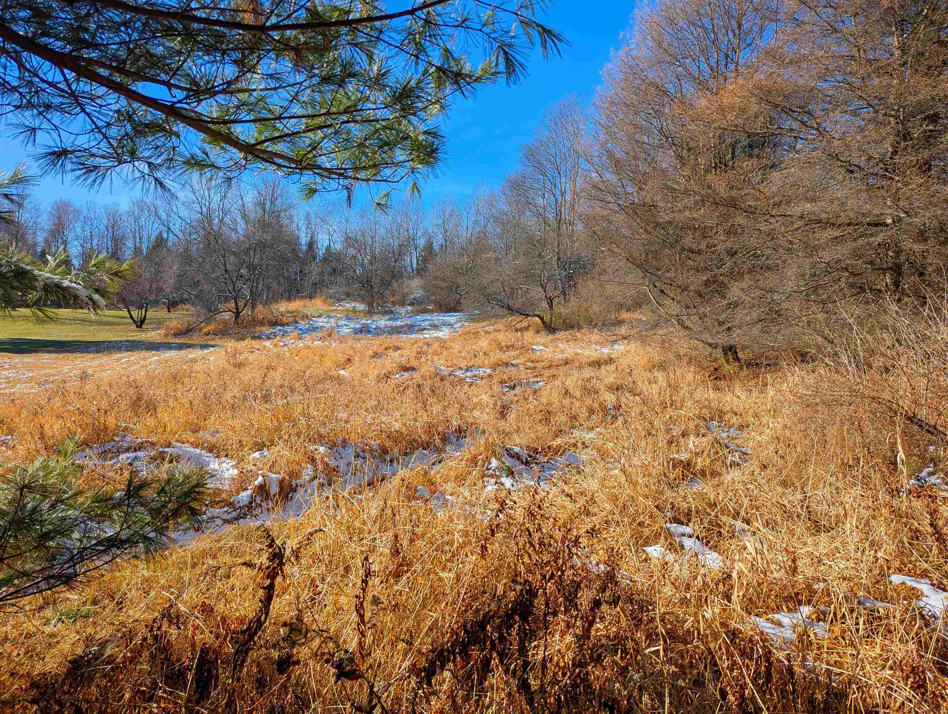 0 Pudding Hill Road Lyndonville, VT 05851 - Photo 10 of 18