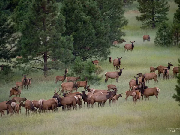 $200,000 | 10 Lots 9 & 10 Whitewater Way Garden Valley, Garden Valley, ID 83622