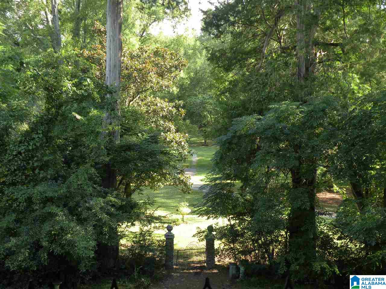 160 Strickland Lane Alpine, AL 35014 - Photo 34 of 50