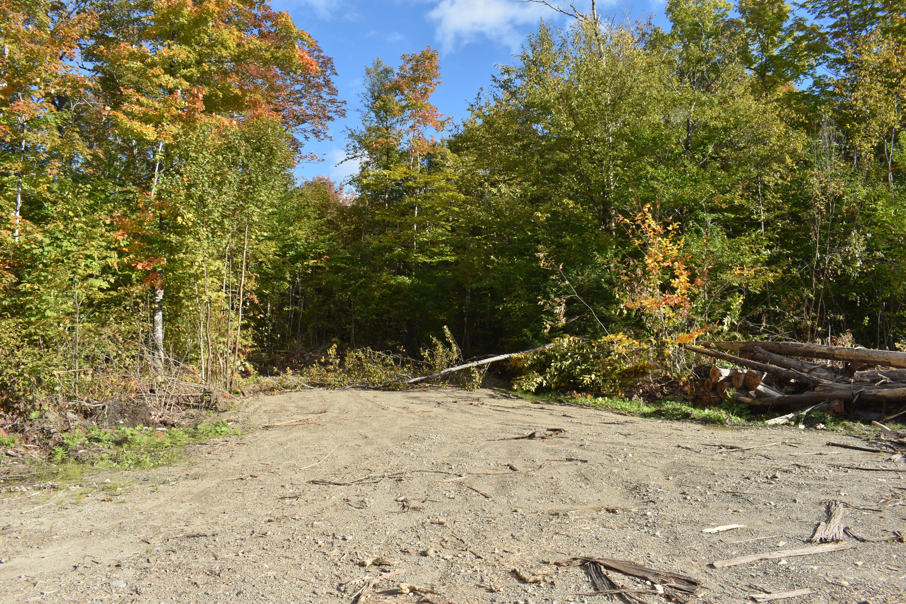 Off Off Clear Cut Lodge Road Springfield, ME 04487 - Photo 5 of 16 DSC_0077