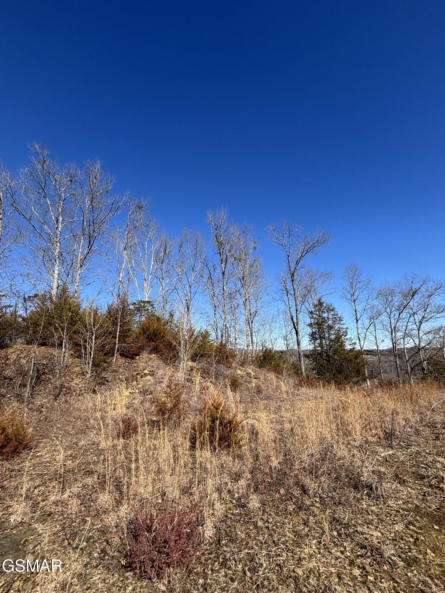 4 Rule Hollow Road Sevierville, TN 37876 - Photo 9 of 15 Gallery Image 9