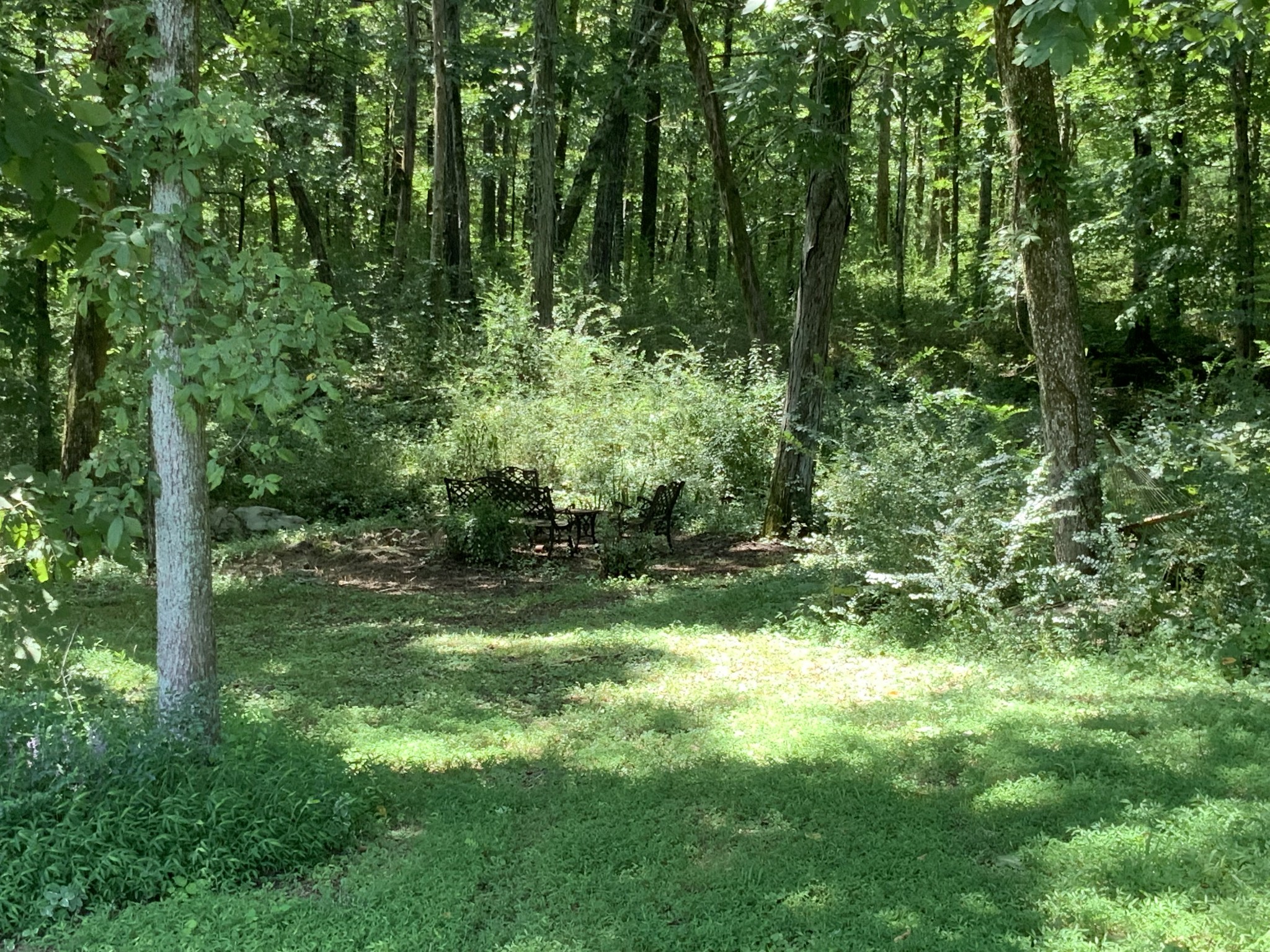 261 Mill Road Shelbyville, TN 37160 - Photo 3 of 10 Gallery Image 3