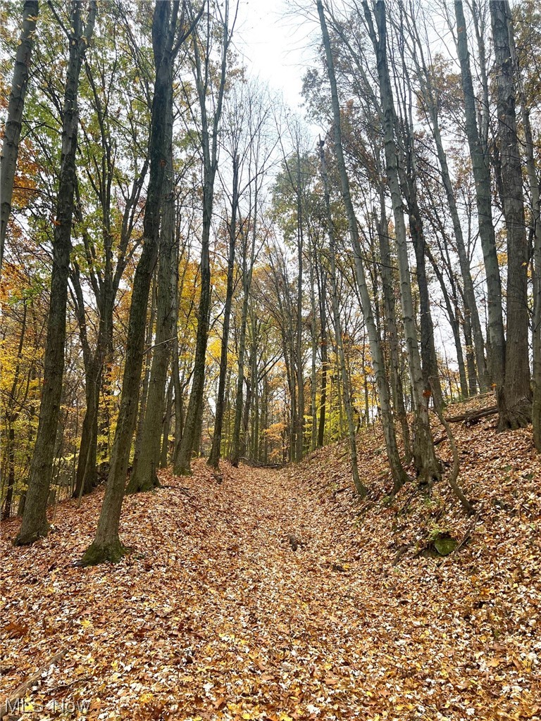 509 Spring Street Dennison, OH 44621 - Photo 15 of 15 View of mother earth's splendor