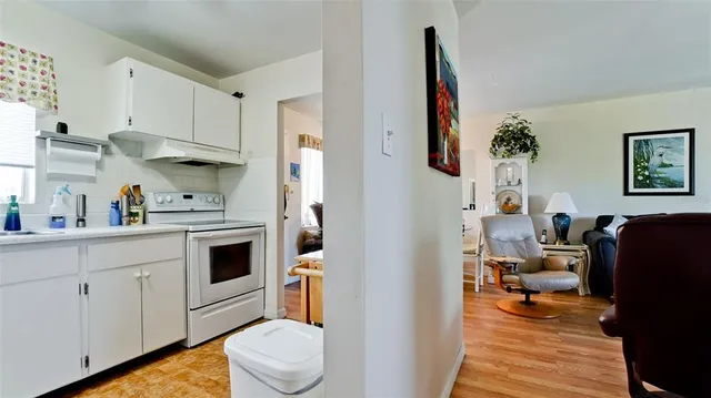 a living room with furniture a rug and a toilet