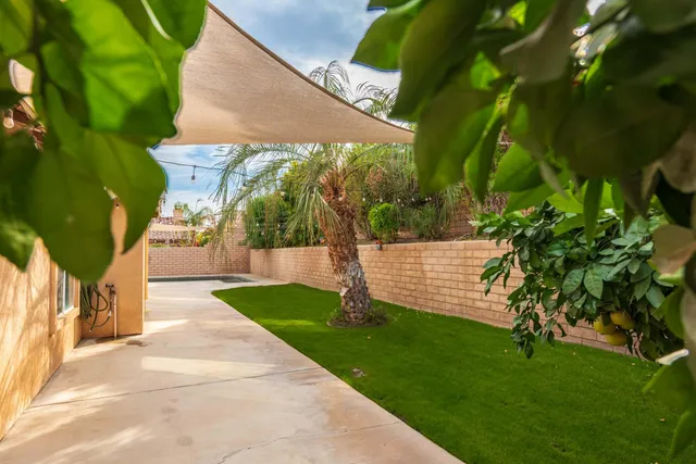 a view of a yard with plants and palm trees