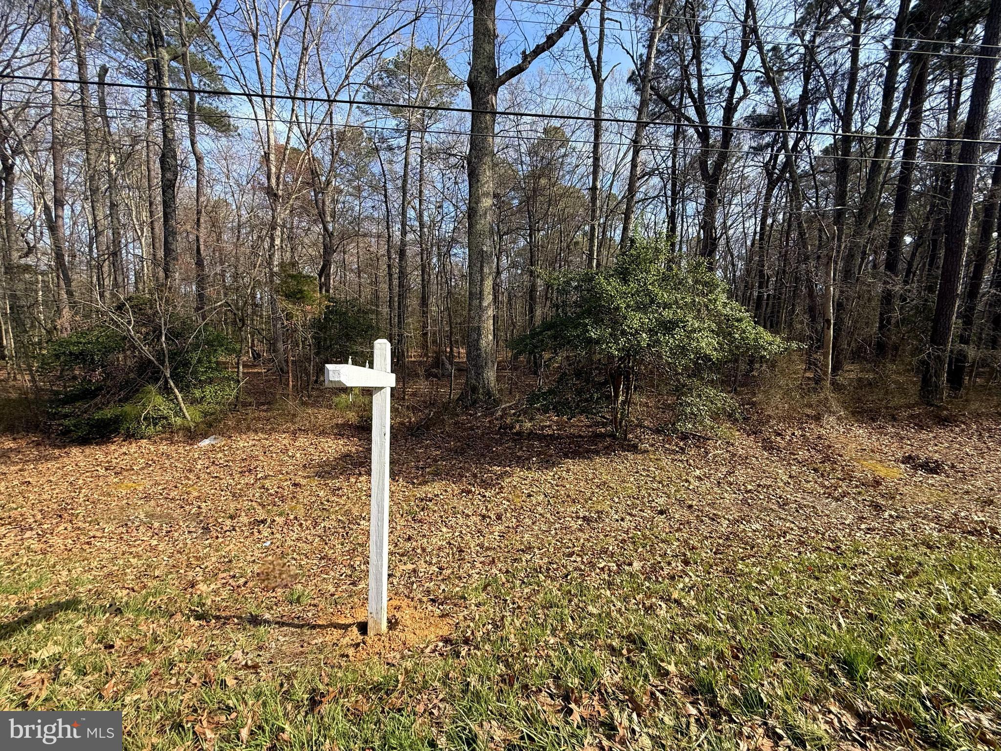 18832 Piney Point Road Valley Lee, MD 20692 - Photo 1 of 7 Gallery Image 1