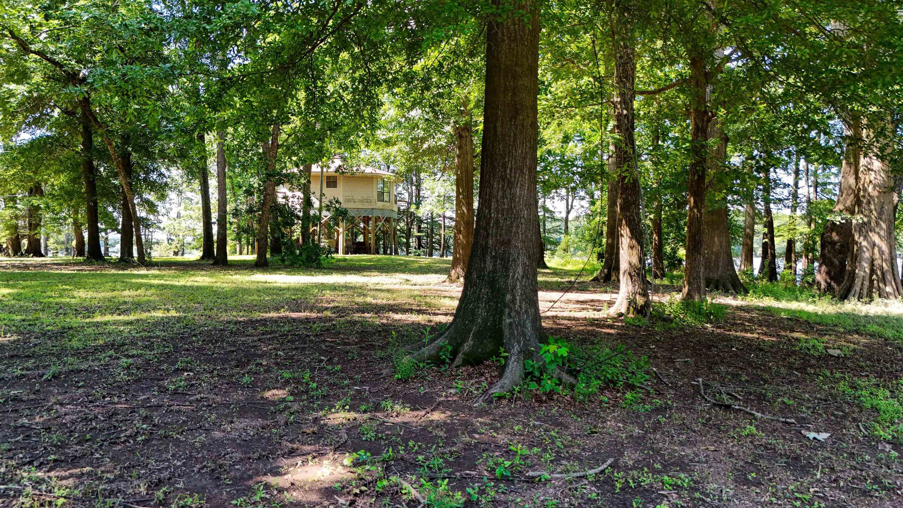 56 Chisholm Lake Road Ripley, TN 38063 - Photo 27 of 32 Gallery Image 27