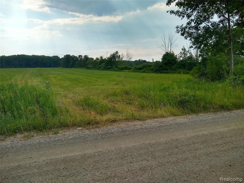 0 Martin Road Capac, MI 48014 - Photo 2 of 5