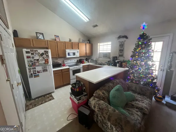 a living room with furniture and a potted plant