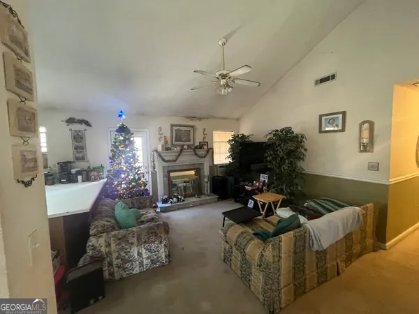 a living room with furniture flowerpot and a chandelier