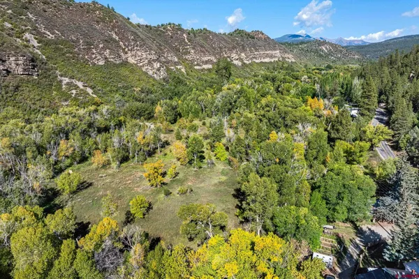 a view of a lush green forest with mountains in the background