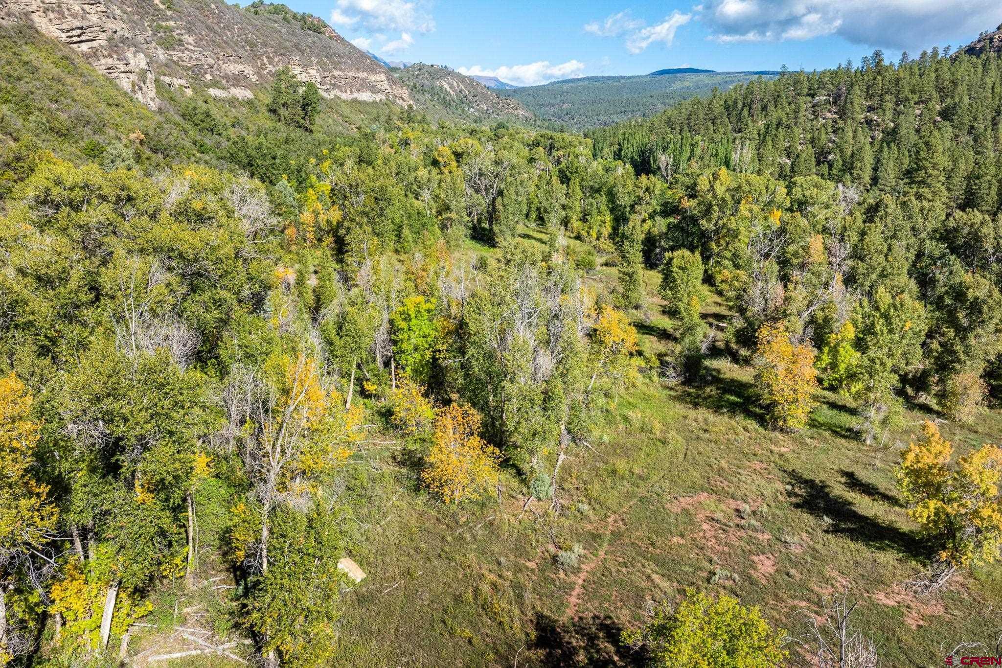 441 County Road 204 Durango, CO 81301 - Photo 13 of 30 a view of a yard