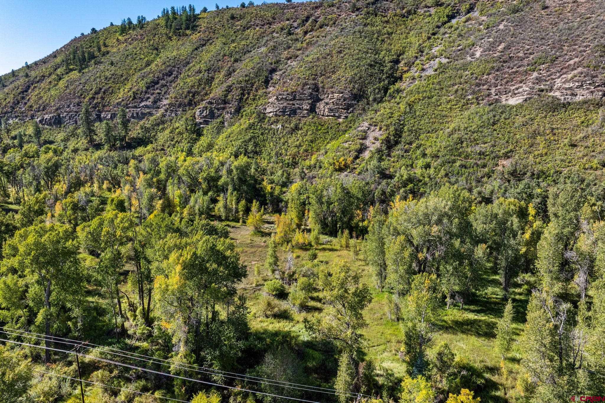 441 County Road 204 Durango, CO 81301 - Photo 16 of 30 a view of a forest with a pathway